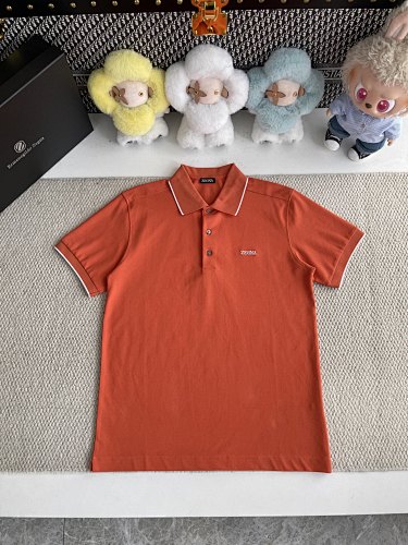 Logo Polo
