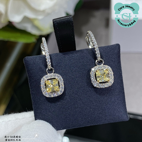 NN Earring