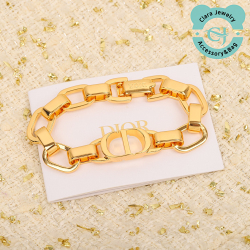 Cd Thick Chain Bracelet