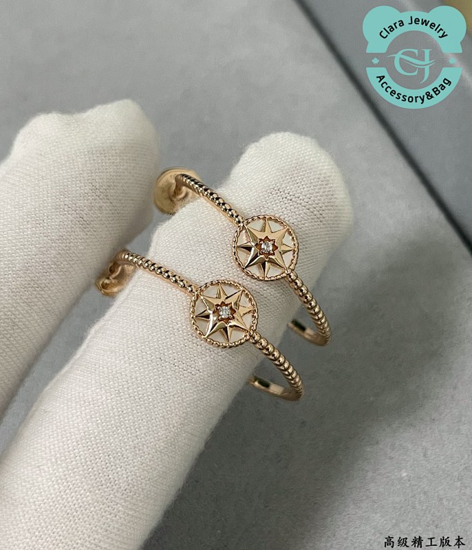 Dior Compass Earrings