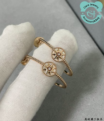 Dior Compass Earrings