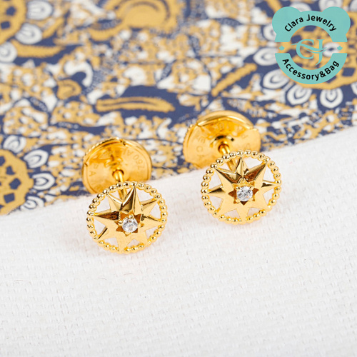 Dior Compass Hollow Earrings