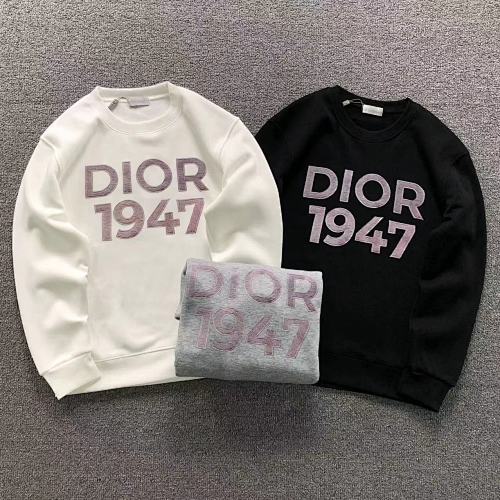Dior Hoodie