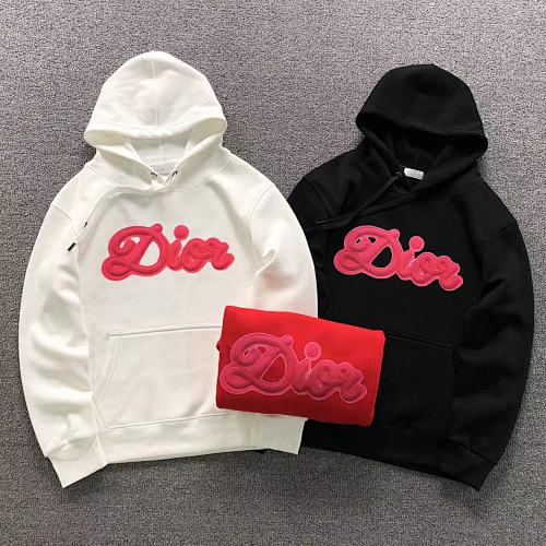 Dior Hoodie