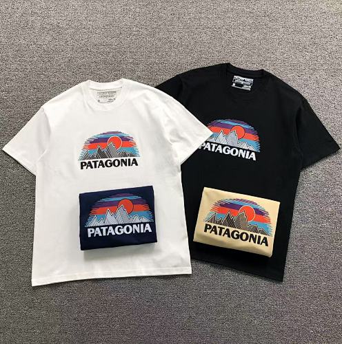 Patagonia T-Shirt