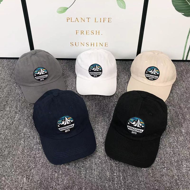 Patagonia Hat