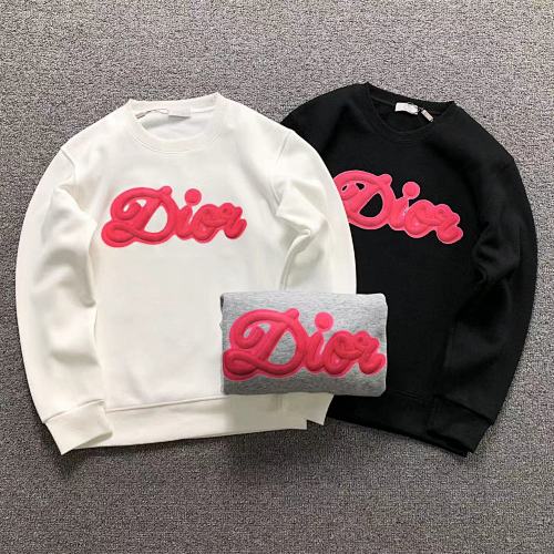 Dior Hoodie