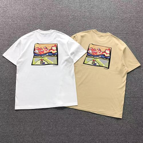Patagonia T-Shirt
