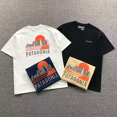 Patagonia T-Shirt
