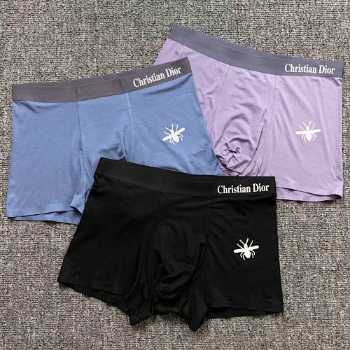 Dior Underwear