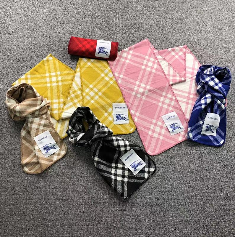 Burberry Scarf