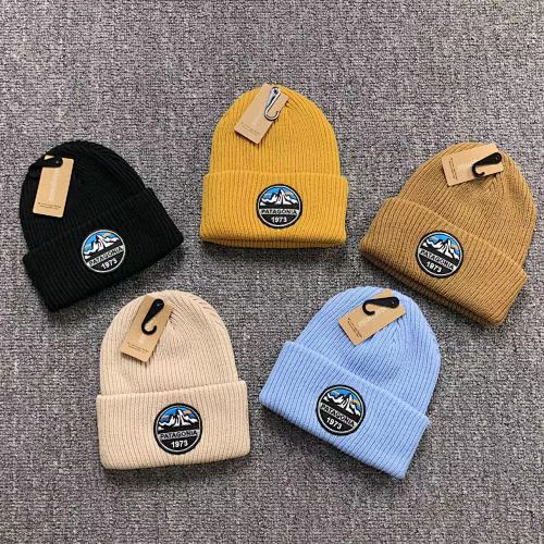 Patagonia Hat