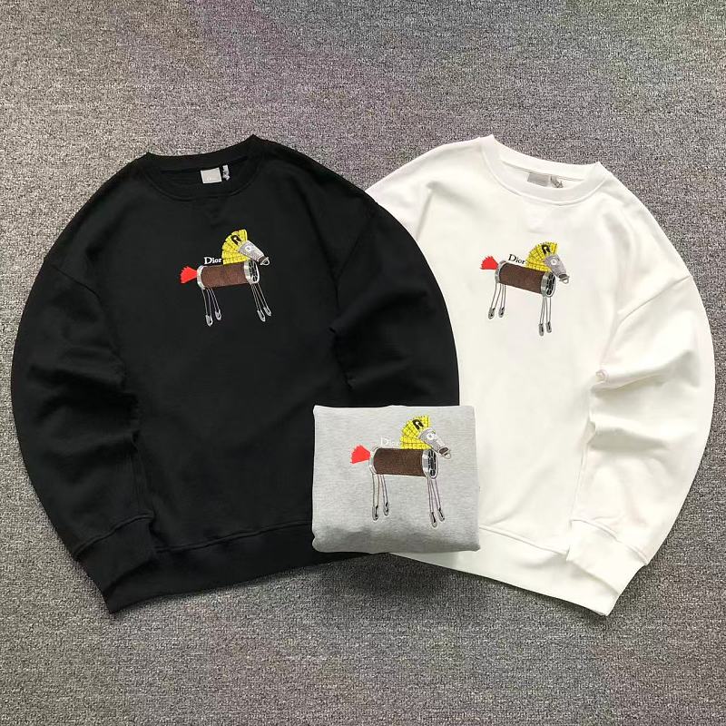 Dior Hoodie