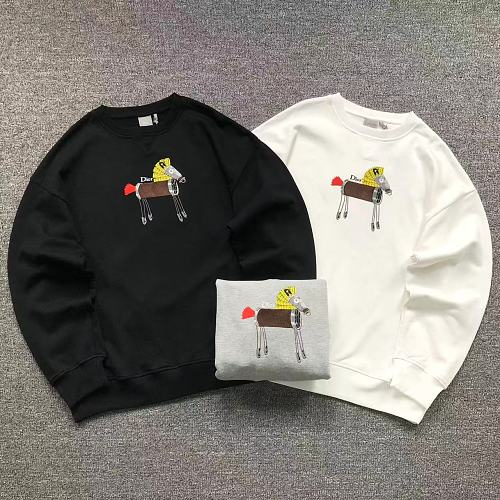 Dior Hoodie