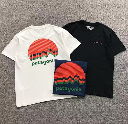 Patagonia T-Shirt