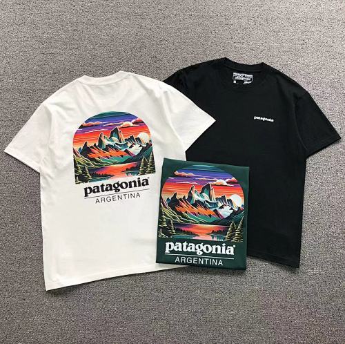 Patagonia T-Shirt