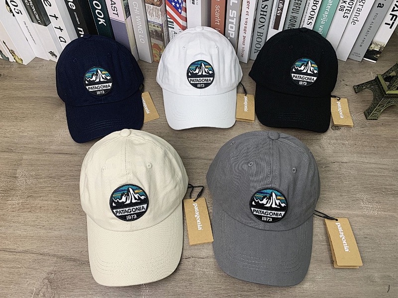 Patagonia Hat
