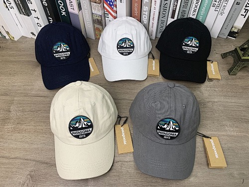 Patagonia Hat
