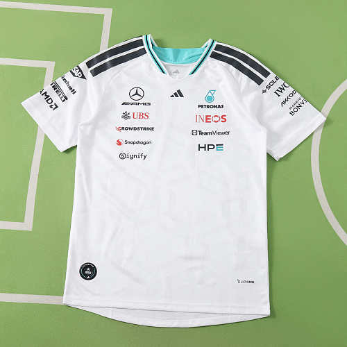 F1 Mercedes Formula Racing Player Version