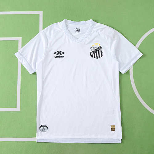 Santos FC Home Player Version