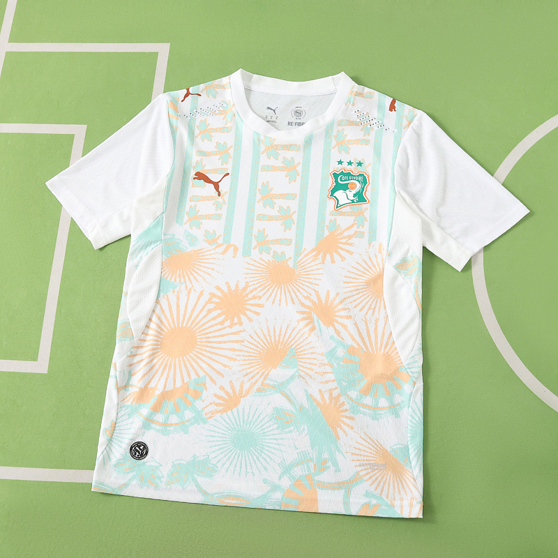 Fifa World Cup Côte D'Ivoire Away Player Version