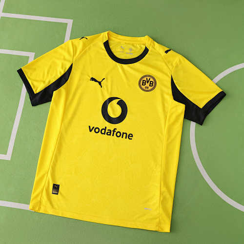 Borussia Dortmund Training Shirt Fan Version