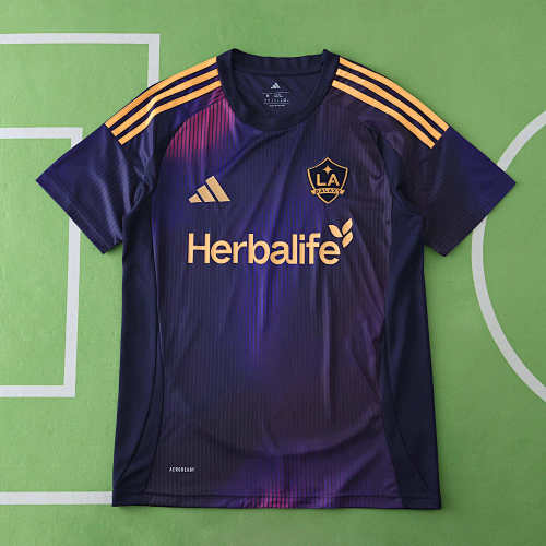 Los Angeles Galaxy Away Fan Version
