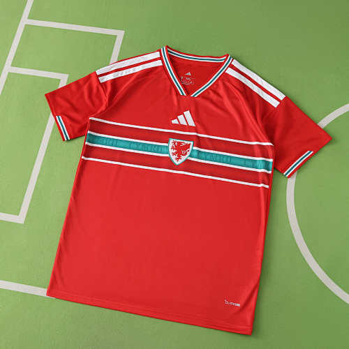 Wales Home Fan Version