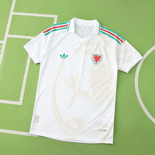 Wales Away Player Version