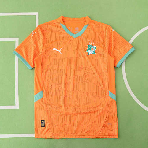 Côte D'Ivoire Home Fan Version