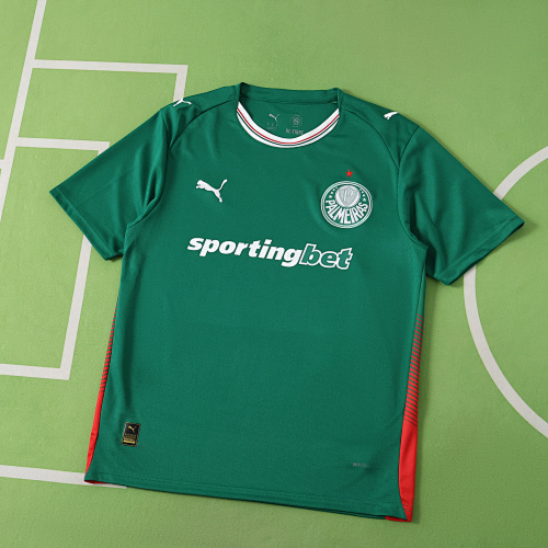 Sociedade Esportiva Palmeiras Home Fan Version