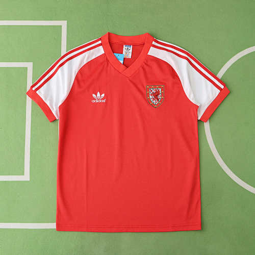Wales Home Retro Fan Version