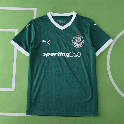 Palmeiras Home Fan Version