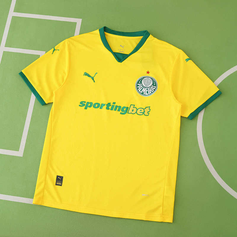 Sociedade Esportiva Palmeiras Third Fan Version