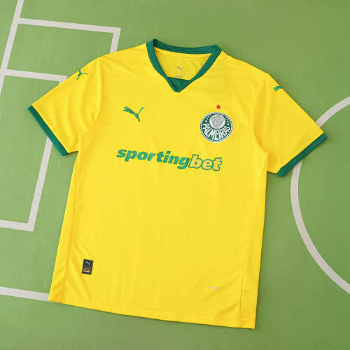 Sociedade Esportiva Palmeiras Third Fan Version