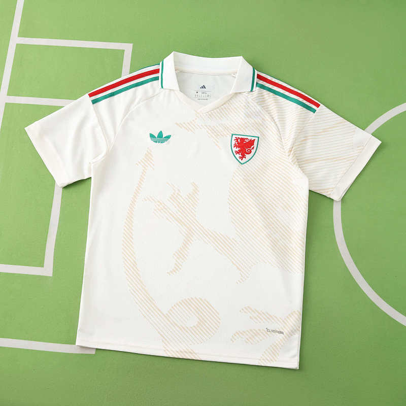 Wales Away Fan Version