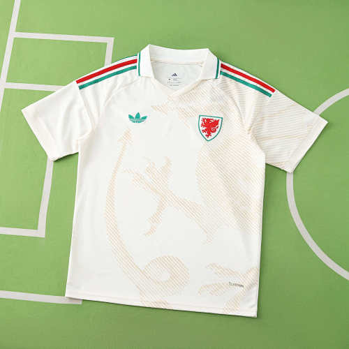 Wales Away Fan Version