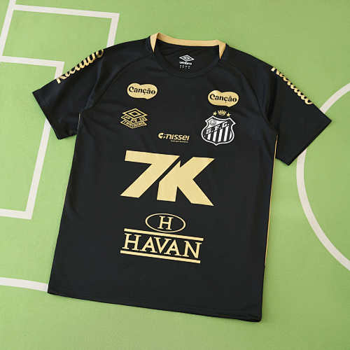 Santos FC Concept Version Fan Version