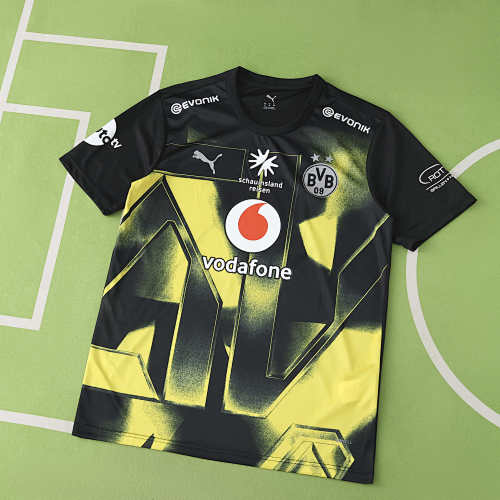 Borussia Dortmund Concept Version Fan Version