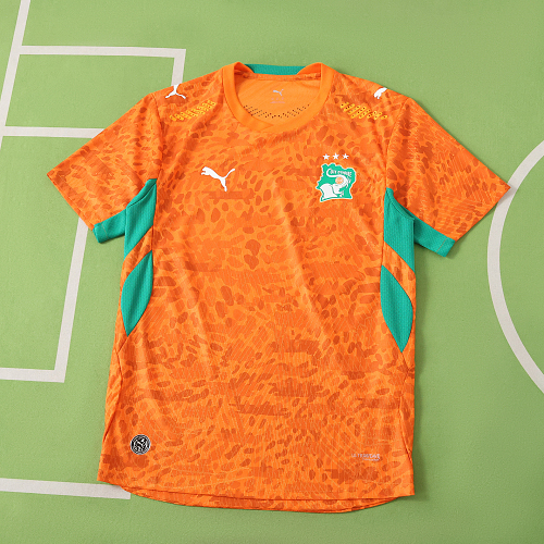 Fifa World Cup Côte D'Ivoire Home Player Version