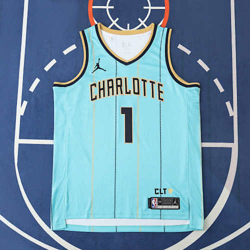 Nba Charlotte Hornets 1 Ball
