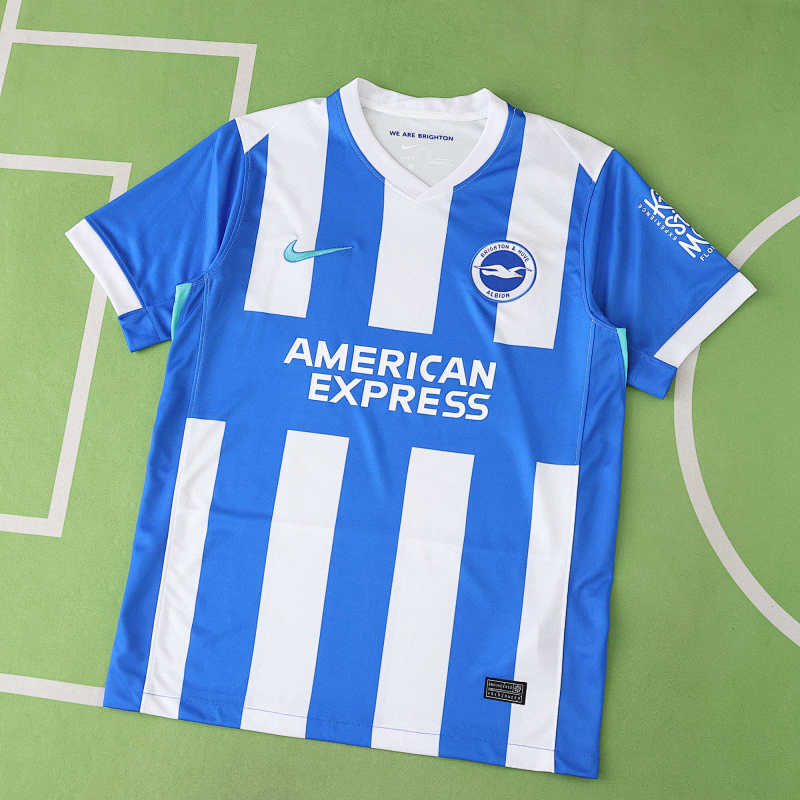 Brighton & Hove Albion Football Club Home Fan Version