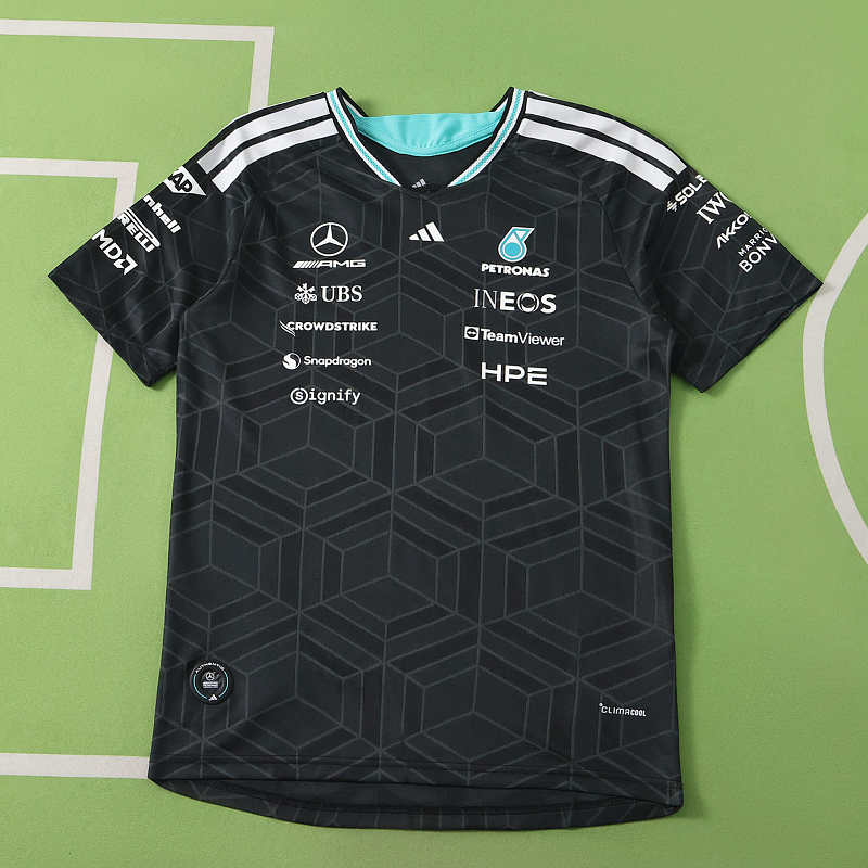 F1 Mercedes Formula Racing Player Version