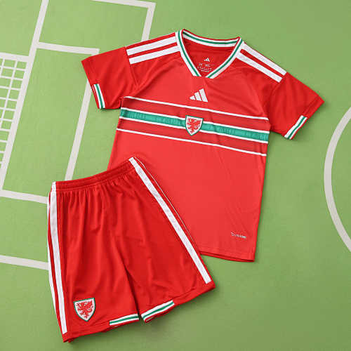 Wales Home Kids Kit