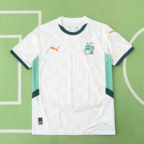 Côte D'Ivoire Away Fan Version