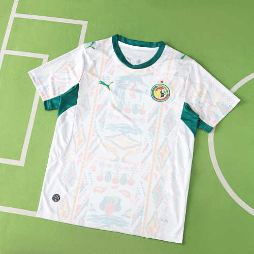 Fifa World Cup Senegal Home Fan Version