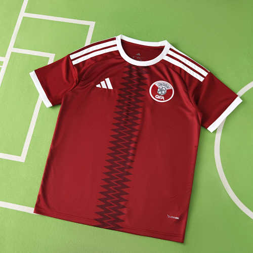 Fifa World Cup Qatar Home Fan Version