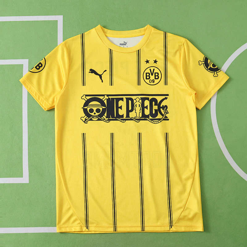 Borussia Dortmund Concept Version Fan Version