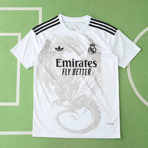 Real Madrid CF Concept Version Fan Version