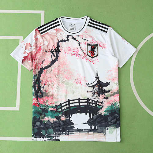 Japan Concept Version Fan Version